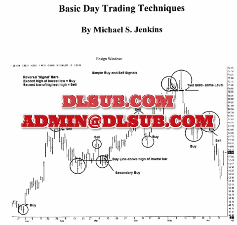 Sales page e-commerce photo of Michael Jenkins - Basic Day Trading Techniques trading education course